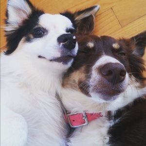 Meet your Posher, Andreane